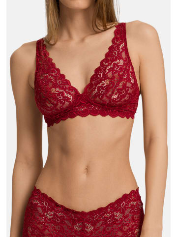 Hanro Soft Cup BH - ohne Bügel Moments in Red dahlia