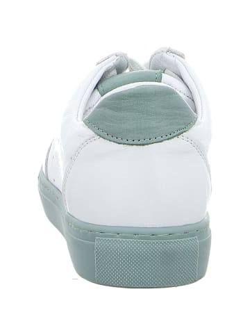 Andrea Conti SHOES Schnürschuhe in weiß/peppermint