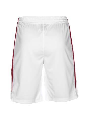 Nike Performance Funktionsshorts Team Stock 20 in weiß / rot