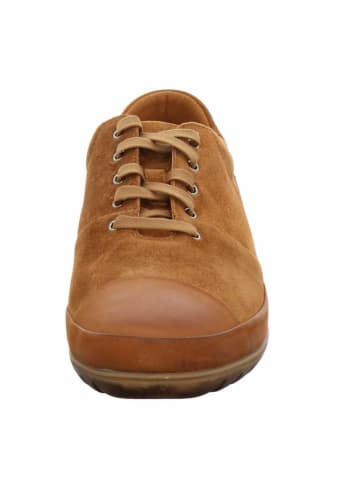 Franz Gustav Sneaker Low in braun