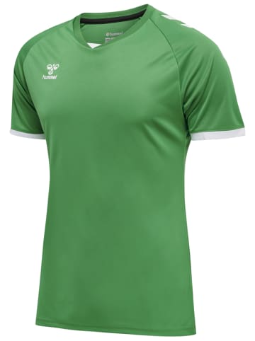 Hummel T-Shirt Raglanärmel Hmlcore Erwachsene in JELLY BEAN