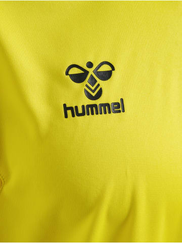 Hummel T-Shirt S/S Hmlauthentic Pl Jersey S/S in BLAZING YELLOW