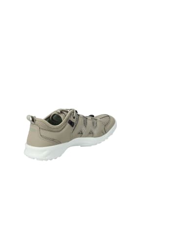 Ecco Lowtop-Sneaker Terracruise Lt W in sage