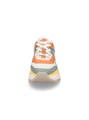 Buffalo Sneaker in multi