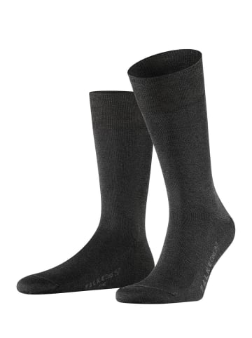 Falke Socken 1er Pack in Anthrazit