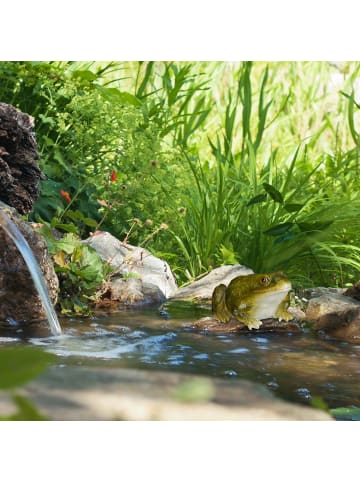 4x Froschfigur in Grün