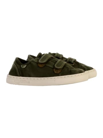 natural world Kinder-Tennisschuh mit Klettverschluss Grün
