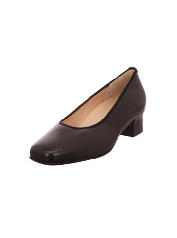 HASSIA Pumps in schwarz