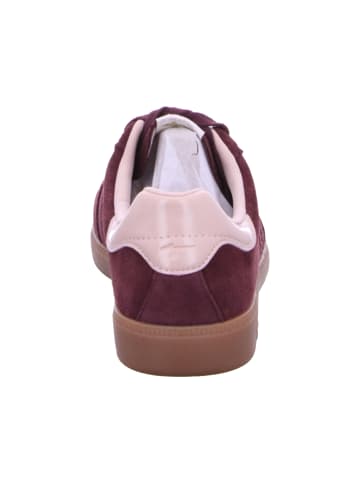 Tamaris Schnürschuhe in bordeaux