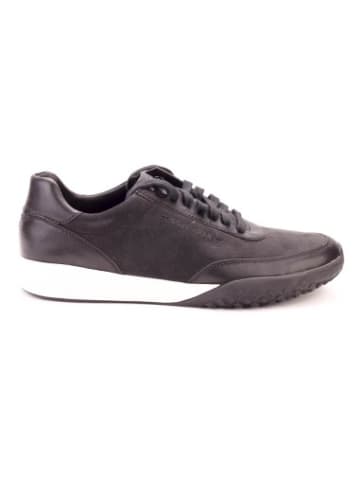 Cole Haan Turnschuhe C28345 in Schwarz