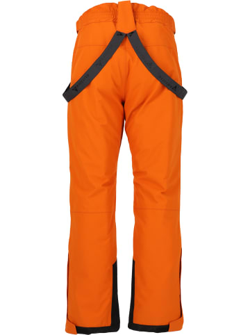 Whistler Skihose Drizzle in 5141 Autumn Maple