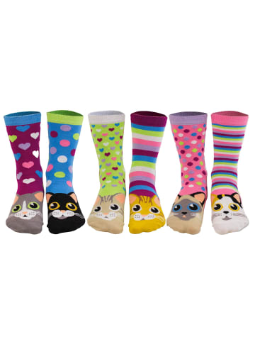 United Oddsocks Socken 3er Pack in Catwalk