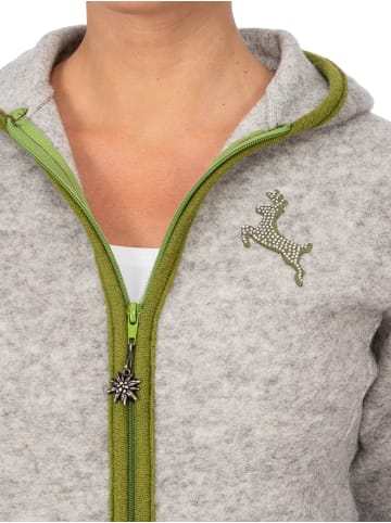 Alp1964 Outdoorjacke 257301 in silver-green