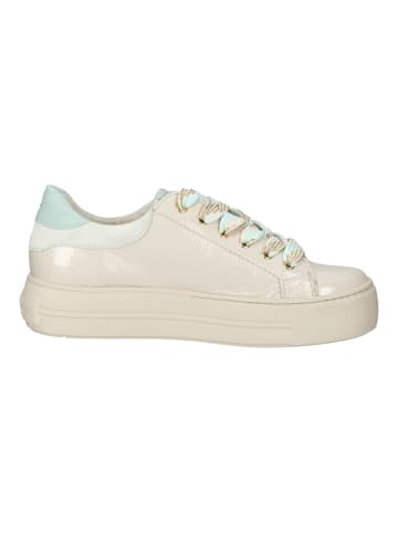 Paul Green Sneaker in Beige/Blau