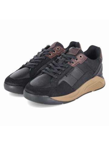 Bullboxer Low Sneaker in schwarz