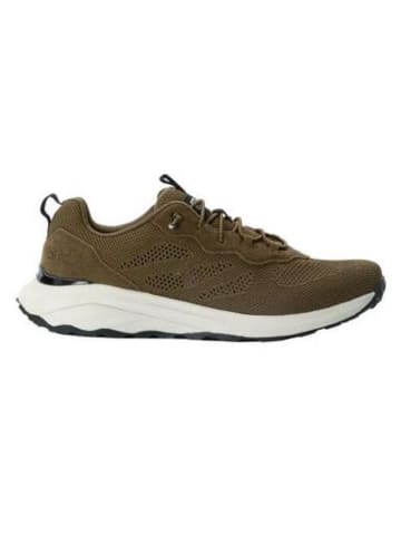 Jack Wolfskin Wanderschuhe DROMOVENTURE KNIT LOW M in Braun