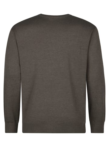 Petrol Industries Feinstrickpullover mit Rundhalsausschnitt ironbend in Grün