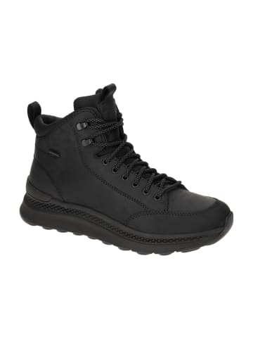 Geox Schnürboots in Schwarz