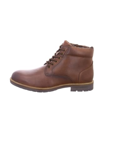ara Winterstiefel für Herren in braun