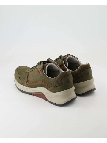 Pius Gabor Sneaker low in Grün