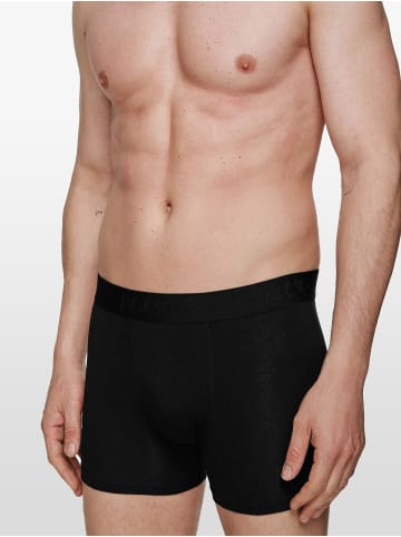 Phil & Co. Berlin  Boxer Retropants in schwarz1