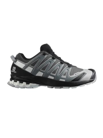 SALOMON Trailrunning-Schuhe SHOES XA PRO 3D v8 in Grau