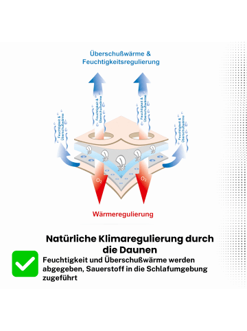 Kinderhaus Blaubär ARO Artländer Daunenschlafsack TOP in Silber Flocken