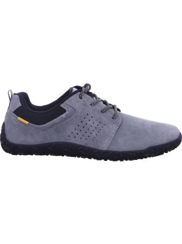 Camel Active Schnürschuh in grau