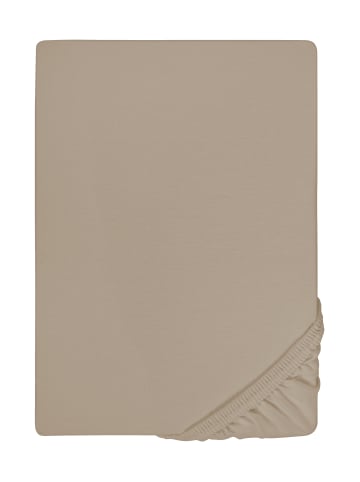 Biberna Spannbetttuch Jersey-Elastic Topper in basalt