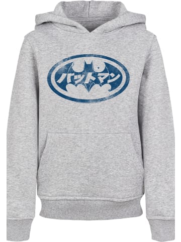 F4NT4STIC Hoodie in heather grey