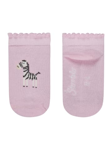 Sterntaler Sneaker Socken 3er-Pack Zebra in rose