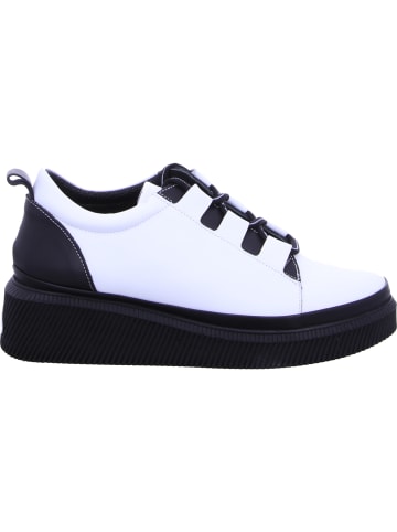 Artiker Schnürhalbschuh in weiß