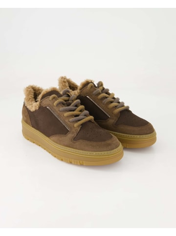 Paul Green Klassische Schnürschuhe in Braun