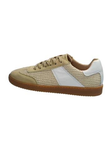 Apple of Eden Sportliche Schnürschuhe in Beige