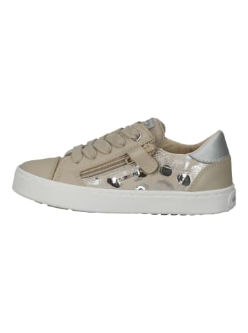 Geox Sneaker in Beige/Silber