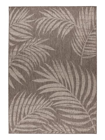 Vivorum Vivorum Neu 2026 Wohnzimmer Kurzflor Teppich Carism 125 taupe in taupe