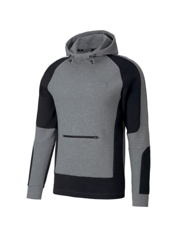 Puma Sweatshirt EVOSTRIPE in Grau
