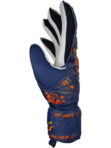 Reusch Torwarthandschuhe Attrakt Grip Junior in 4410 premium blue/gold