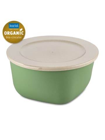 koziol CONNECT BOX 2 - Box mit Deckel 2l in nature leaf green