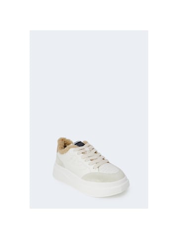 Ash Sneaker Beige