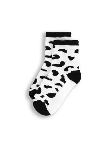 Coccodrillo Socken in bunt