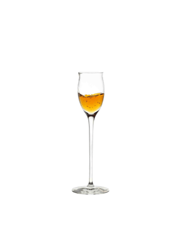 Stölzle 6er Set Edelbrandgläser Quatrophil in Transparent 65 ml in transparent