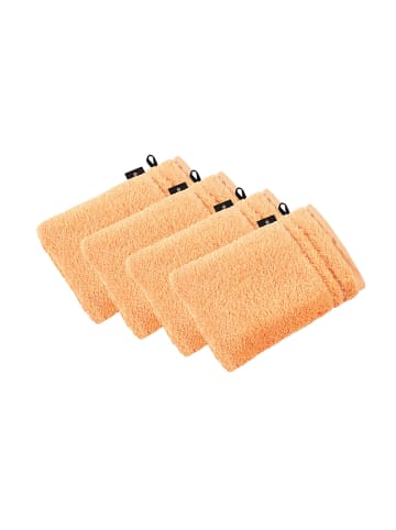 Vossen 4er Pack Waschhandschuh in apricot