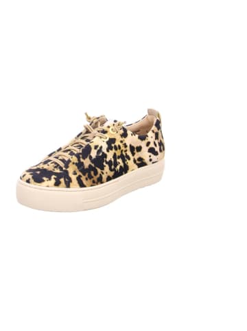 Paul Green Freizeit Schnürer für Damen in beige
