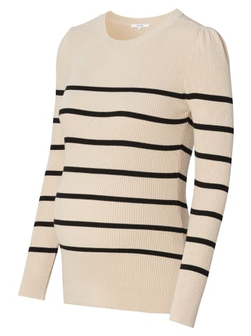 Noppies Pullover Zana in Light Sand