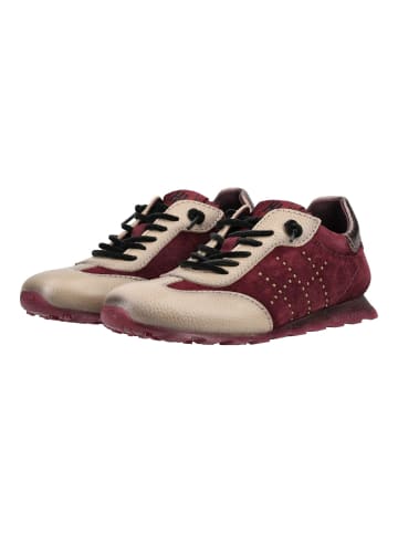 Hispanitas Sneaker ZINNISA-I6 Bordeaux