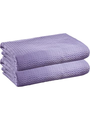 Erwin Müller Baumwolle Sommerdecke 2er-Pack Siena in flieder