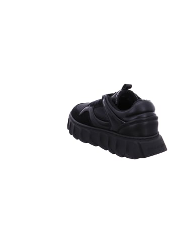 Apple of Eden Sneaker Low in Schwarz