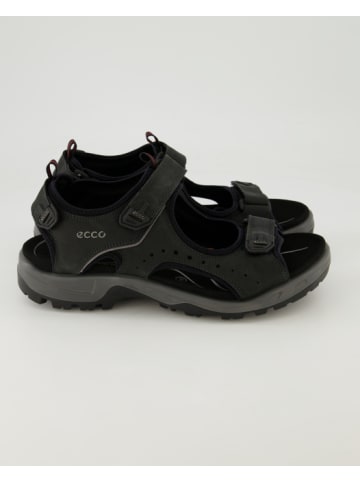 Ecco Sandalen in Schwarz