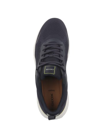 Geox Sneaker low U Vittour in blau